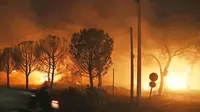 Kebakaran di Yunani, Juli 2018 (Thanassis Stavrakis / AP Photo)