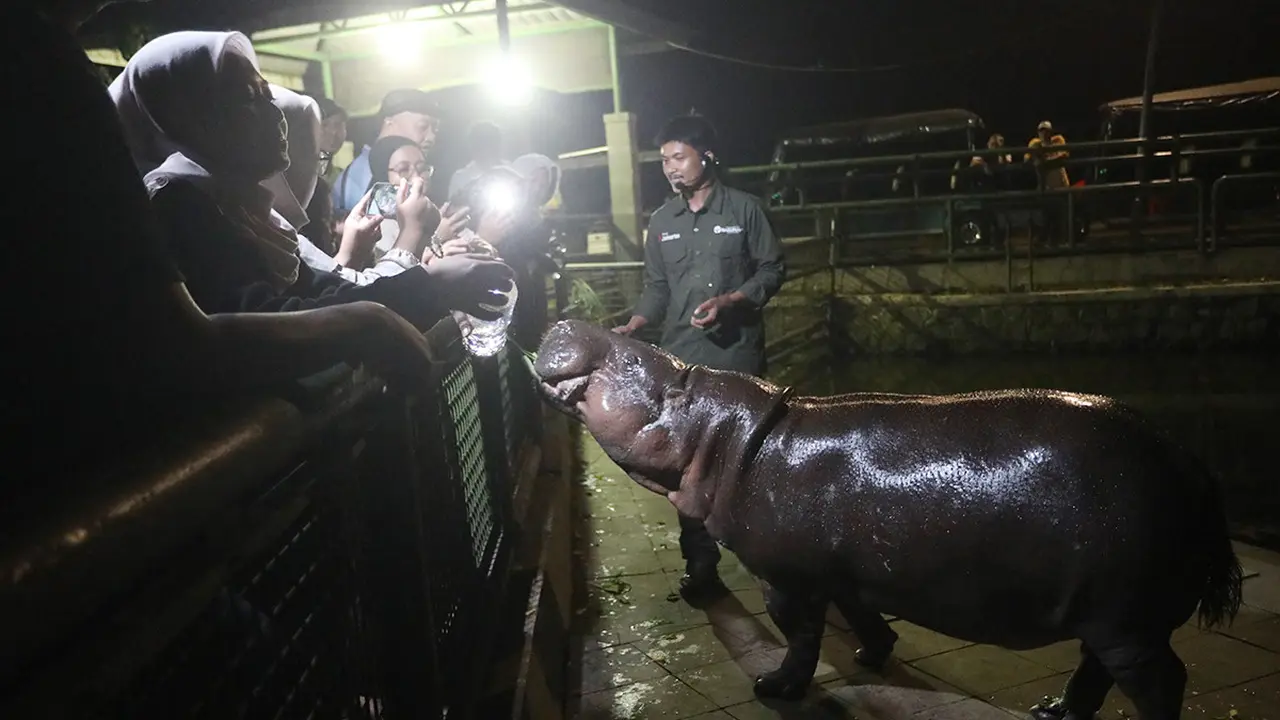 Warga Jakarta Antusias Sambut Wisata Malam Ragunan, Jadi Sarana Edukasi dan Hiburan Alternatif 
