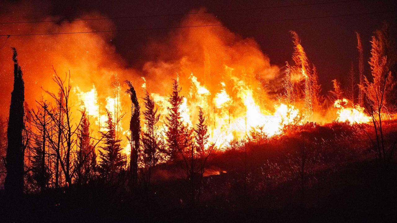 FOTO: Kebakaran Hutan Saat Gelombang Panas Ekstrem di Turki, Ribuan  Dievakuasi
