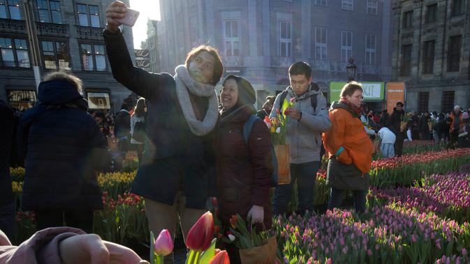 Pengunjung berswafoto dengan latar belakang tulip pada Hari Bunga Tulip Nasional di Dam Square, Amsterdam pada 19 Januari 2019. Pengunjung bisa memetik bunga tulip yang terhampar seluas 2.500 meter persegi secara cuma-cuma. (AP/Peter Dejong)