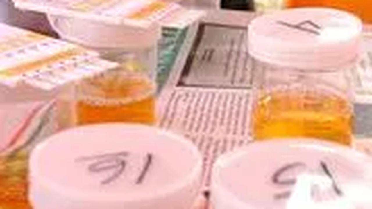 Dites Urine Dadakan, 2 Pegawai Dinas PMD Musi Banyuasin Kedapatan Positif Narkoba