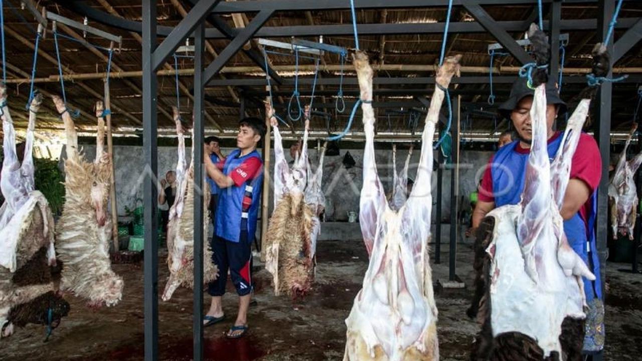 BI Perkuat Kualitas Juru Sembelih Halal Sulawesi Utara, Dorong Ekonomi Syariah dan Pariwisata