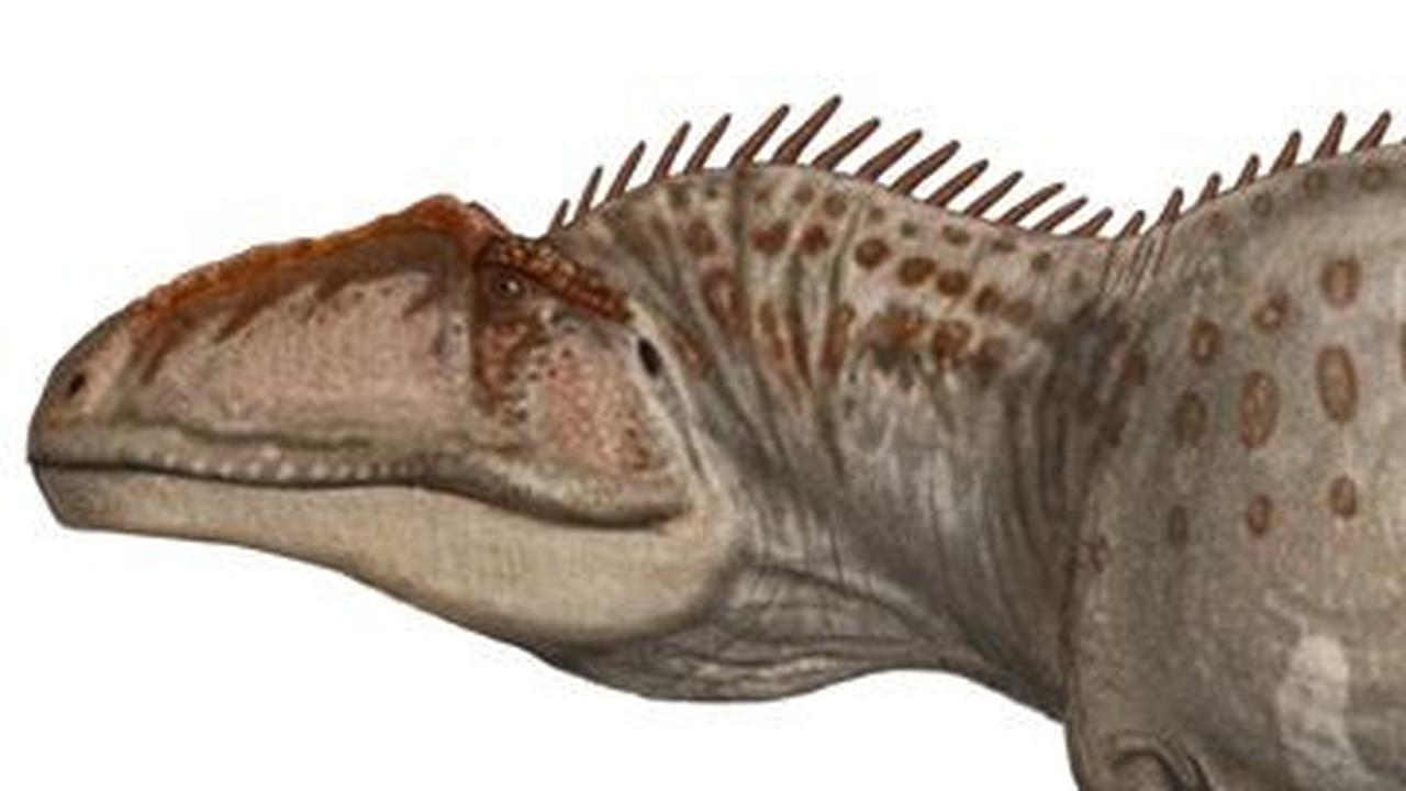 6.&nbsp;Giganotosaurus