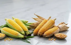 Perbedaan Jagung Manis dan Jagung Biasa, Kenali dari Ukuran hingga Rasanya