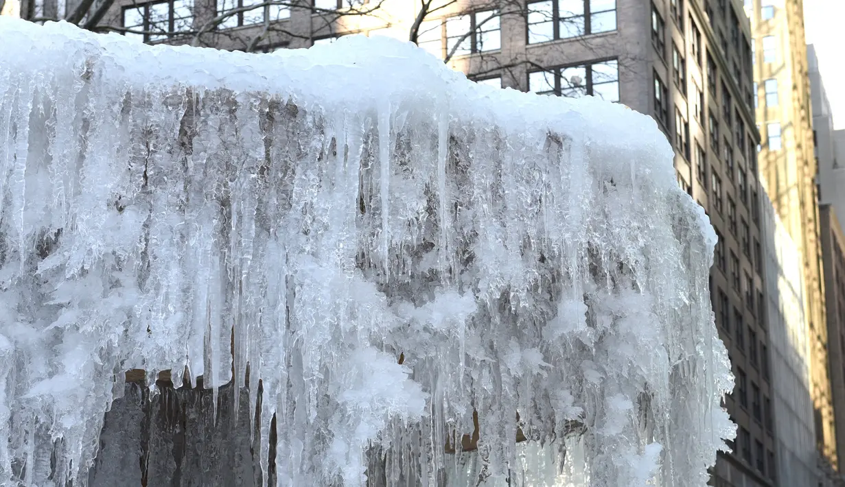 Air mancur Josephine Shaw Lowell yang membeku di Taman Bryant, New York, Selasa (2/1). Cuaca sangat dingin menjadi pembuka tahun baru bagi sebagian besar warga di wilayah tengah dan utara Amerika Serikat. (AFP PHOTO / TIMOTHY A. CLARY)