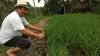 Mantan Kabareskrim Polri Komisaris Jenderal Polisi (Purn) Susno Duadji kini memilih mengisi hari-harinya dengan menjadi petani di kampung halamannya di Dempo Selatan, Pagar Alam, Sumatera Selatan. (www.facebook.com/susno2g)