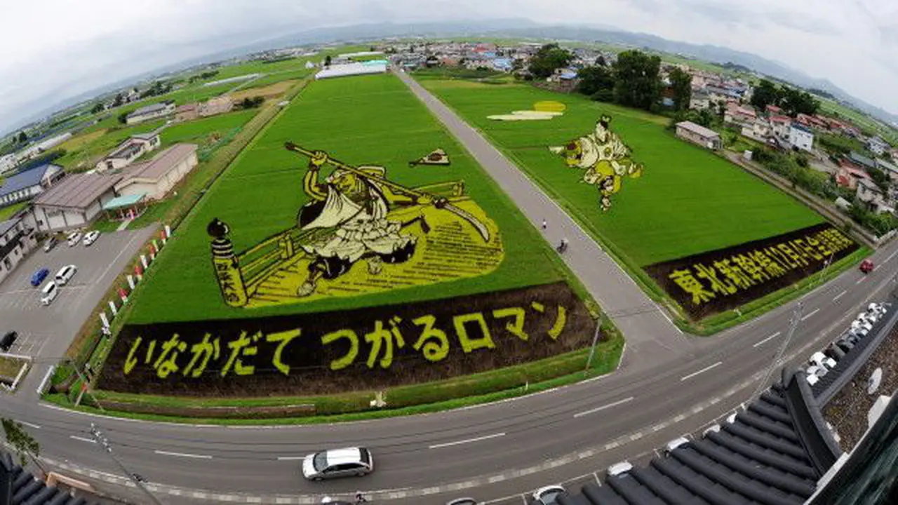 Lukisan Indah yang Datang dari Hamparan Sawah di Jepang