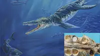 Kronosaurus adalah reptil laut purba sepanjang 11 meter panjang dengan kepala mirip buaya dengan sirip yang kuat.