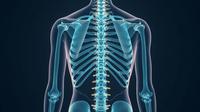 Stenosis Tulang Belakang, Definisi, Penyebab, hingga Penanganannya. Foto: AI bu deepai.org.