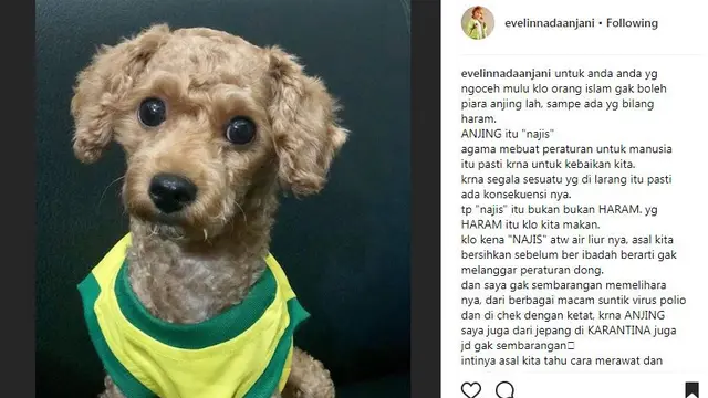 Evelyn Nada Anjani