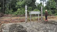 Hutan Lindung Wehea di Kutai Timur Dijaga dengan Pendekatan Hukum Adat, Ini Ceritanya!