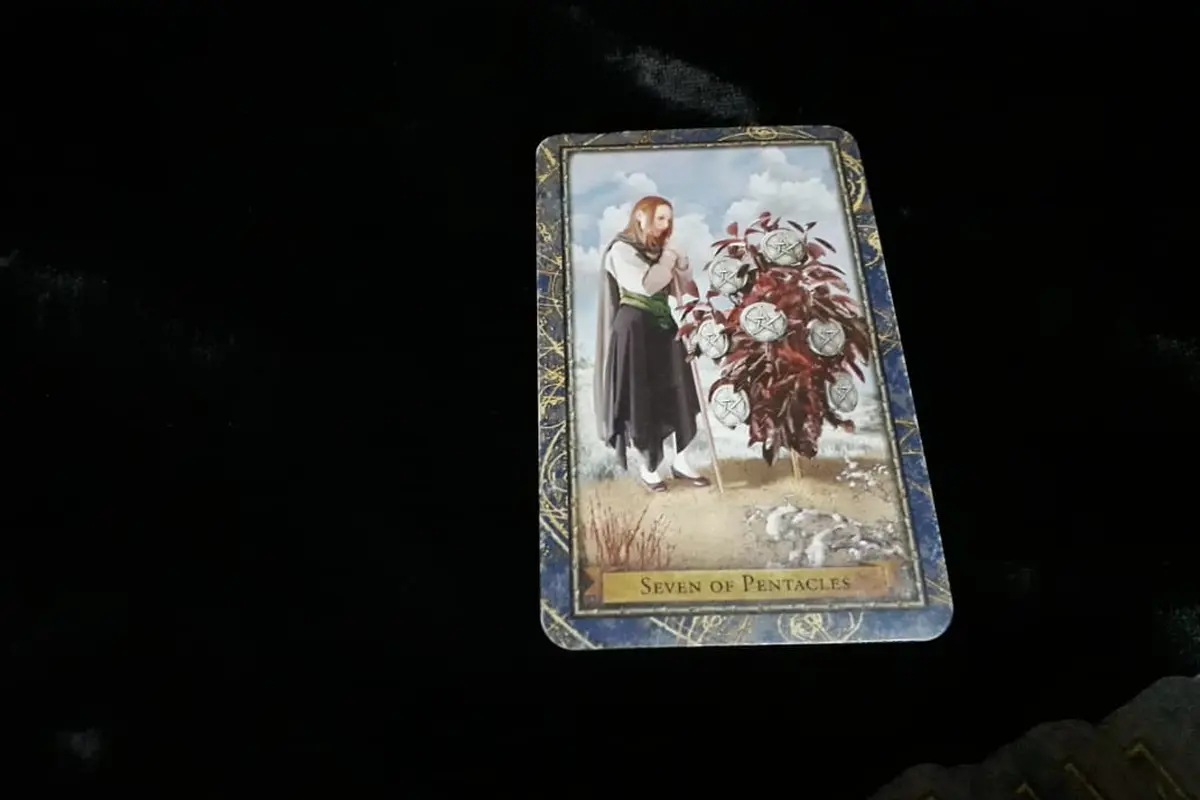 Seven of Pentacles, kartu yang terbuka dalam Tarot Hari Ini, Minggu, 26 Agustus 2018. (Foto: Elisabet Kusumodewi)