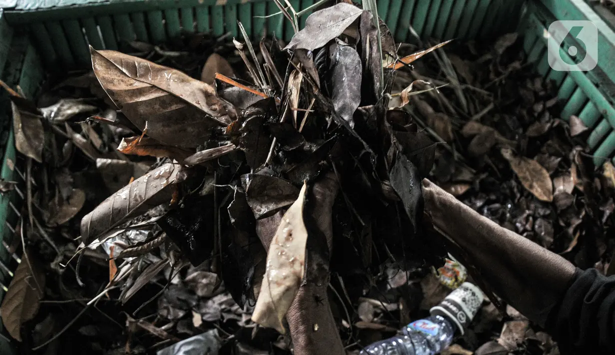 Petugas mengaduk sampah organik saat proses peyeumisasi di Sekretariat Gerakan Ciliwung Bersih, Karet Bivak, Jakarta, Kamis (13/10/2022). Setelah tiga hari, olahan sampah itu akan mengeras dan siap dicacah lalu dicetak menjadi pelet batu bara nabati. (merdeka.com/Iqbal S. Nugroho)
