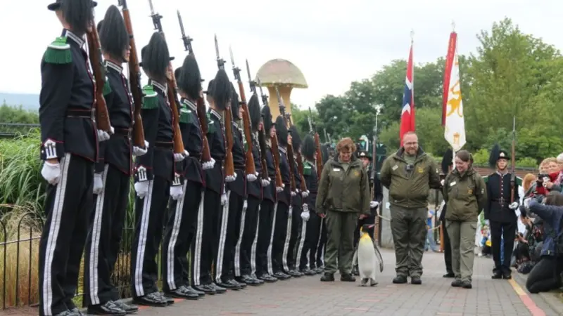 Brigadir Sir Nils Olav, Pinguin Penerima Gelar Kehormatan Militer