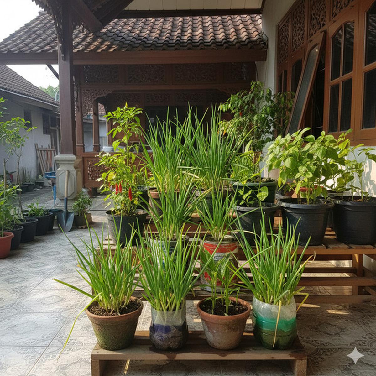 Daun Bawang