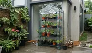 Cara Membuat Greenhouse Mini dari Rak dan Plastik Transparan, Bisa Dibuat dengan Budget Terjangkau