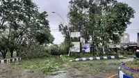 2 Tanggapan dan Permintaan DPR Terkait Bencana Banjir Bandang NTT