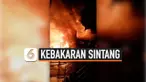 sintang thumbnail