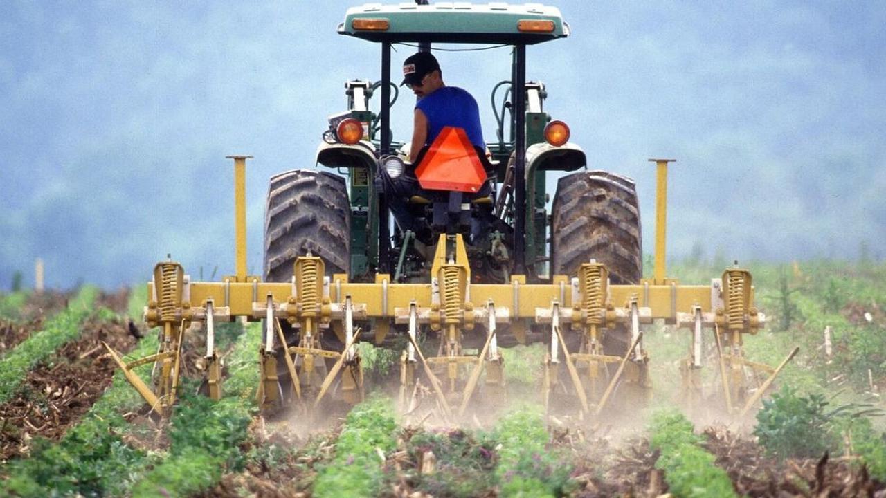 Sebanyak 35.224 Petani Bergabung Asuransi Mikro, Dapat Perlindungan Kecelakaan Hingga Meninggal Dunia