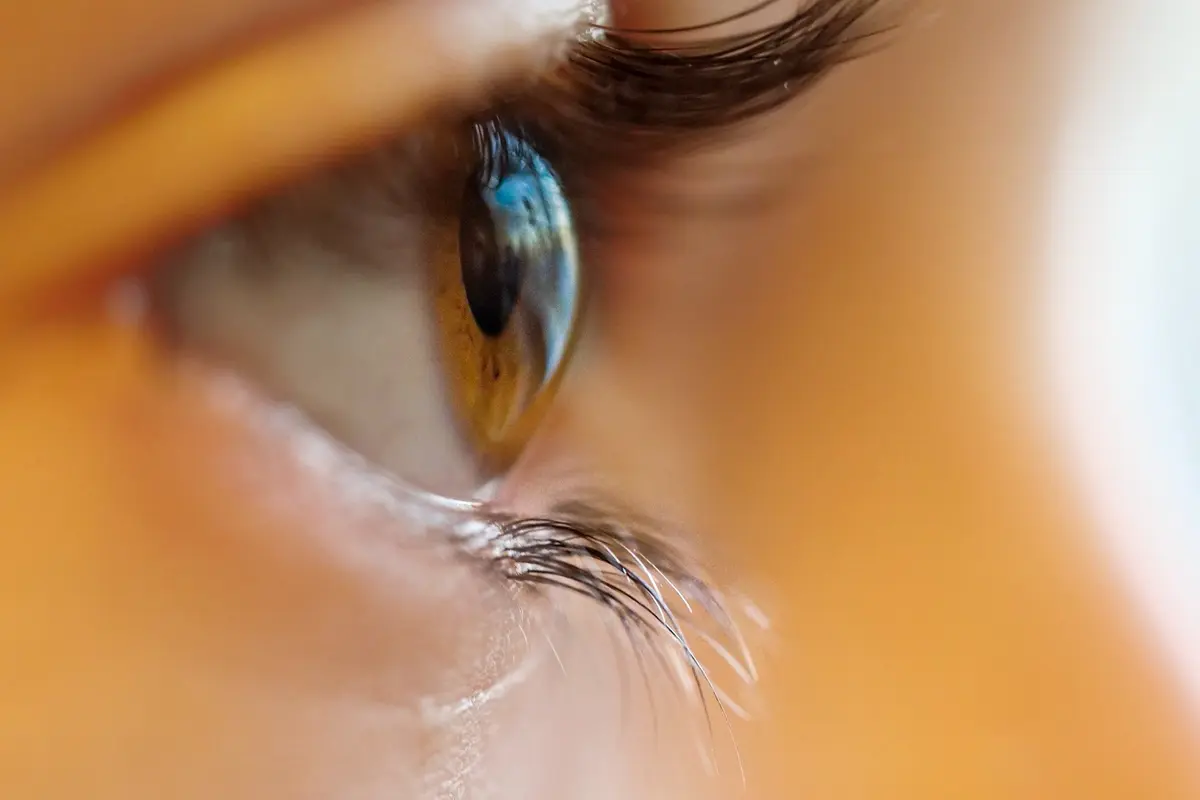 Lensa kontak/Unsplash Adrian