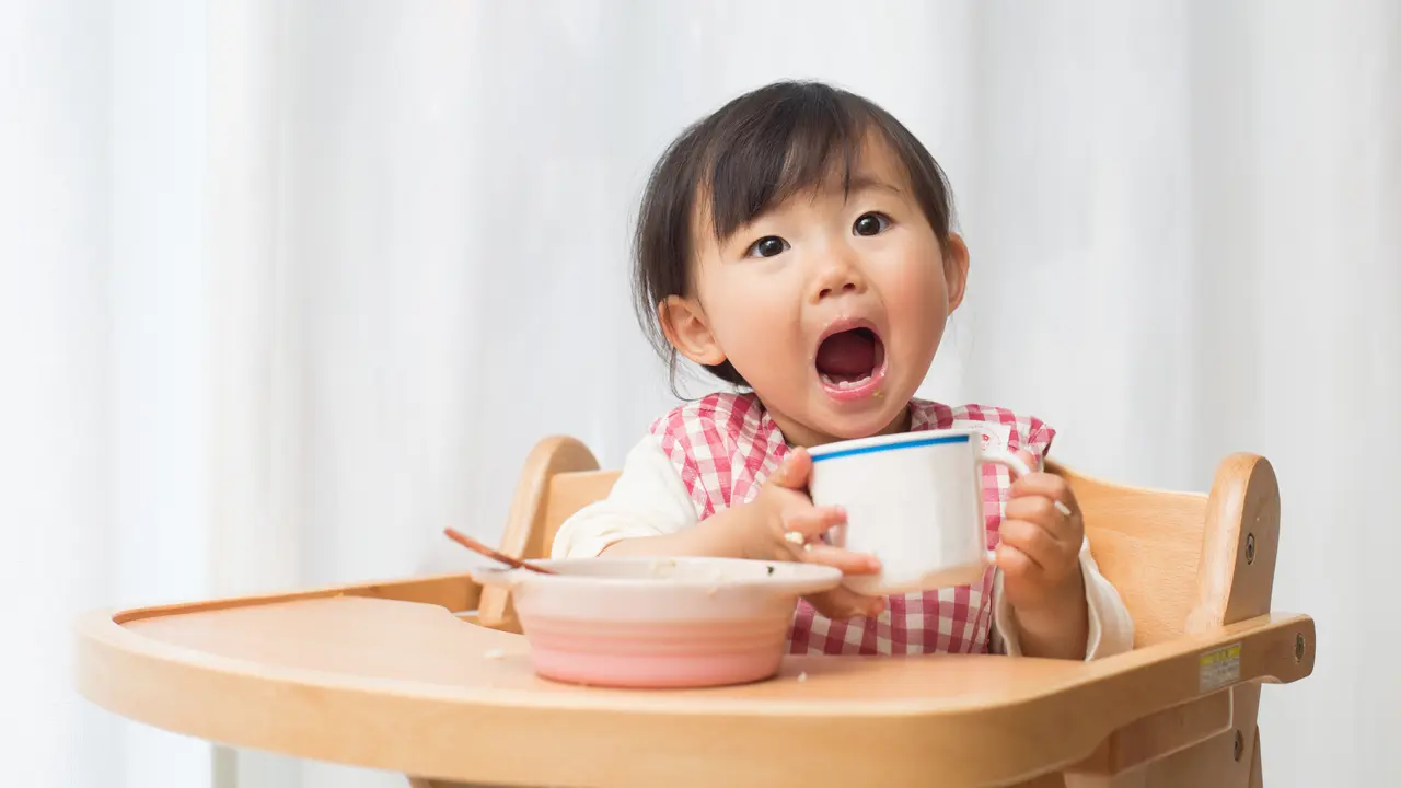 Anak Makan