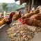 Ilustrasi ayam makan pakan ternak (generated with AI)