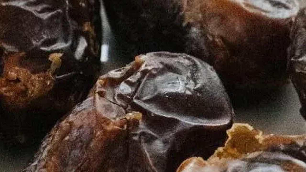 Ini Dia Kurma Palestina, Disebut Terbesar di Dunia dan Jadi Primadona di Indonesia