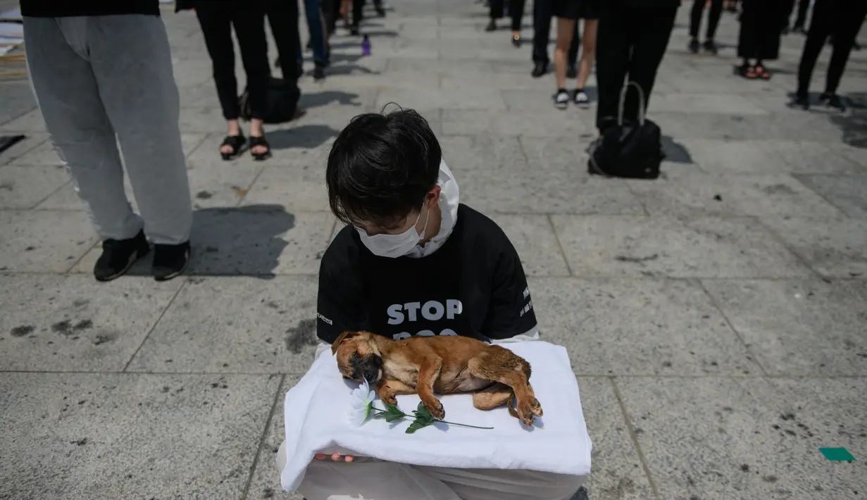 Para aktivis dari kelompok 'Animal Liberation Wave' dan 'Last Chance for Animals' membawa anak anjing mati yang diambil dari peternakan daging anjing di Gwanghwamun Plaza, Seoul (7/7). Mereka memprotes perdagangan daging anjing. (AFP Photo/Ed Jones)