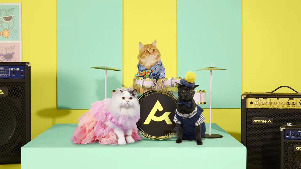 Ketika 3 Kucing Imut Ikut Berpartisipasi dalam Kampanye Belanja