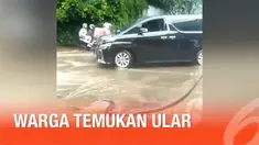 Warga Senayan dikejutkan dengan penemuan ular jenis king Kobra. Petugas pemadan kebakaran dan warga berhasil menangkap ular sepanjang 2 meter itu.