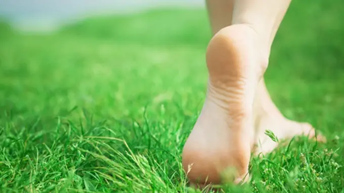 Foto: Copyright ThinkStockPhotos.com