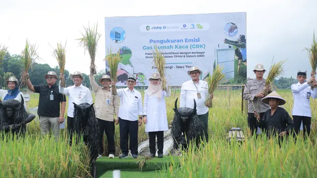 Ekosistem beras biofortifikasi berskala industri pertama di Indonesia