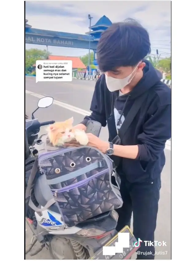 8 Potret Kucing Ikut Mudik Pakai Kendaraan Pribadi Ini Bikin Gemas