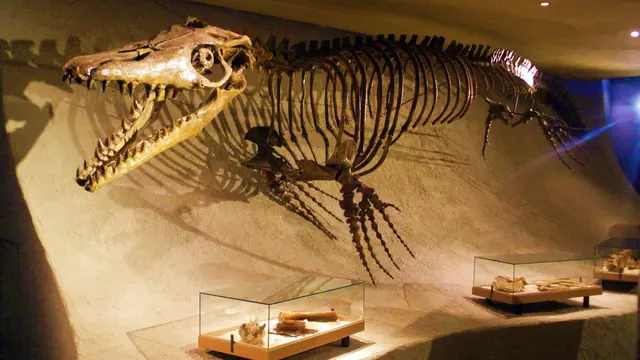 ilustrasi fosil mosasaurus