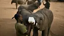 Penjaga memberi formula khusus kepada anak gajah di Reteti Elephant Sanctuary, Namunyak Wildlife Conservancy, Kenya, Rabu (26/2/2020). Reteti Elephant Sanctuary merupakan tempat konservasi gajah yang dimiliki dan dikelola oleh masyarakat. (TONY KARUMBA/AFP)