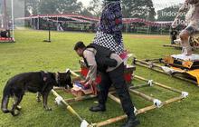 Begini Kondisi Candi Prambanan Jelang Rangkaian Ritual Tawur Agung Aman Nyepi
