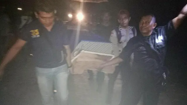 Kerap Terlihat, Kenapa Harimau Baru Serang Manusia Sekarang?