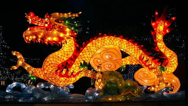 (c) shuflies.blogspot.com