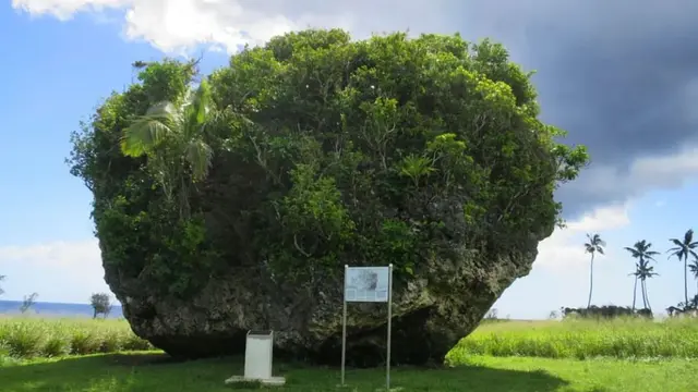 Tsunami Rock di Tonga, merupakan batu raksasa di pantai selatan pulau Tongatapu