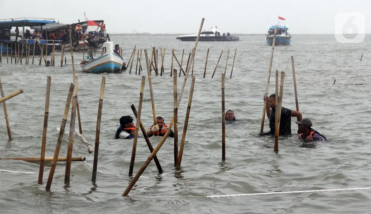 Hari ini, Rabu (22/1/2024), lebih dari 3.000 personel gabungan bersama nelayan setempat secara serentak membongkar pagar laut. (Magang/Liputan6.com/Muhammad Rizal)