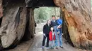 Pengunjung berpose di The Pioneer Cabin Tree, California, AS (Mei 2015). Pohon sequoia raksasa yang jadi ikon di California Sierra Nevada itu roboh pada Minggu (8/1). (AP Photo/ Michael Brown)