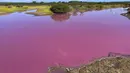 Foto yang diambil pada 8 November 2023 ini disediakan oleh Leslie Diamond menunjukkan telaga di Suaka Margasatwa Nasional Kealia Pond di Maui, Hawaii, berubah warna menjadi merah muda pada 30 Oktober 2023. (Leslie Diamond via AP)