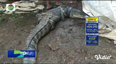 Fokus Pagi mengangkat berita-berita di antaranya, Lokasi Wisata Diserbu Pengunjung, Puluhan Wisatawan Ditemukan Reaktif Covid-19, Kawanan Jambret Incar Pesepeda, Serangan Teror Tewaskan 3 Orang Di Prancis.