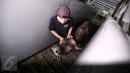 Petugas memeriksa kondisi sapi yang baru saja tiba di Pelabuhan Tanjung Priok Jakarta, Selasa (9/2). Kementerian Pertanian RI mendatangkan sebanyak 500 ekor sapi asal NTT diangkut dengan kapal khusus ternak Camara Nusantara I. (Liputan6.com/Faizal Fanani)