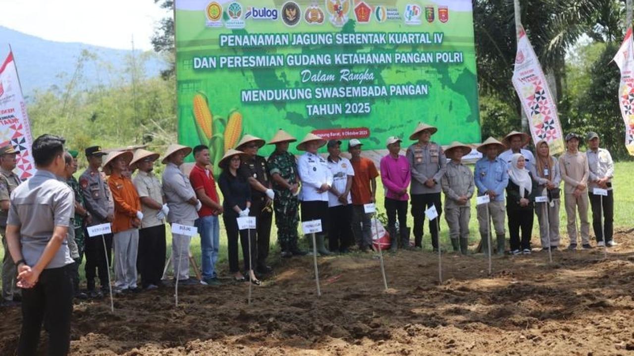 Fakta Menarik: Kolaborasi Lintas Sektor Jadi Kunci Swasembada Pangan Lampung Barat