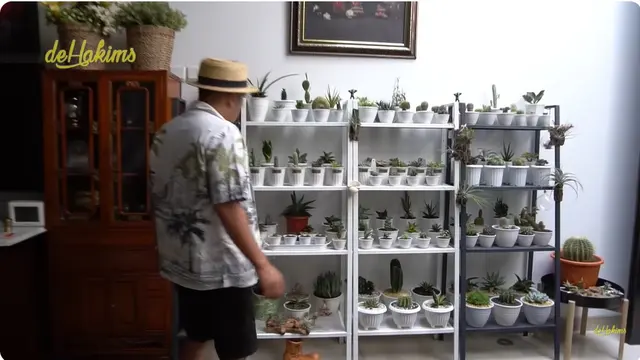 6 Potret 'Kebun' di Dalam Rumah Soimah, Ada Beragam Tanaman Penuhi Sudut Ruang