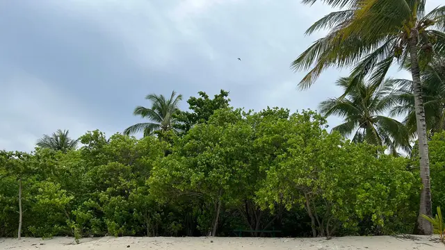 Pantai Pulau Senua, Kabupaten Natuna, Provinsi Kepulauan Riau.