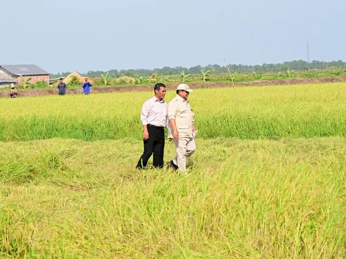 Mentan Amran: Indonesia Bisa Jadi Negara Adidaya 10 Tahun Lagi