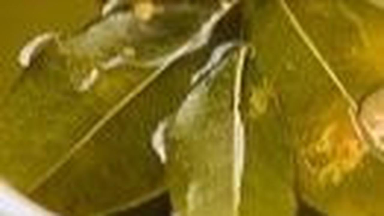 <b>1. Daun Salam</b>
