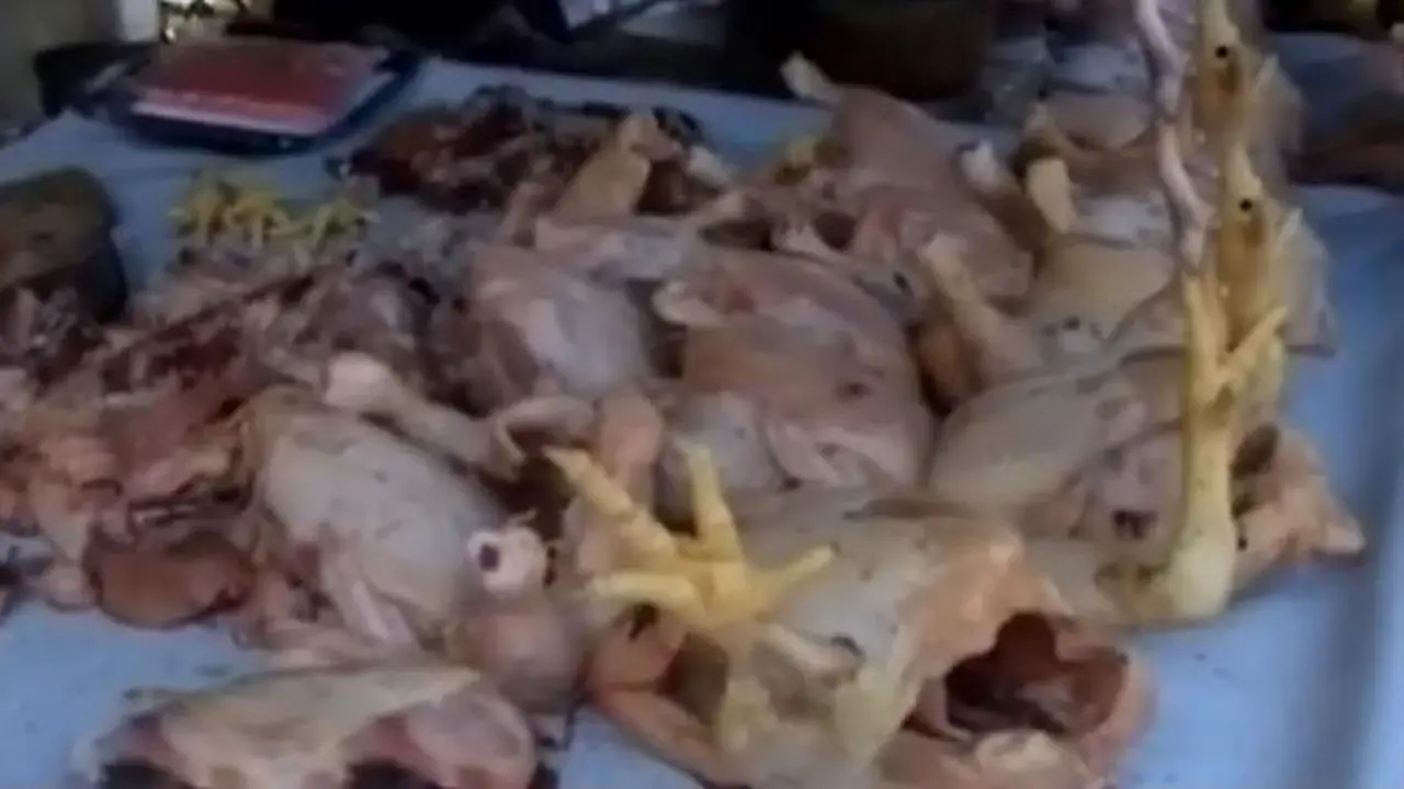 20150820-Daging Ayam-Jakarta